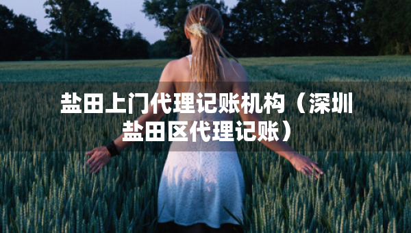 鹽田上門(mén)代理記賬機(jī)構(gòu)（深圳鹽田區(qū)代理記賬）