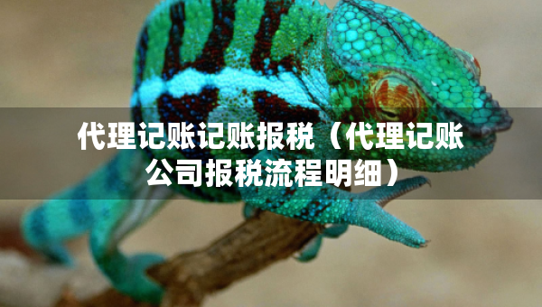 代理記賬記賬報(bào)稅（代理記賬公司報(bào)稅流程明細(xì)）