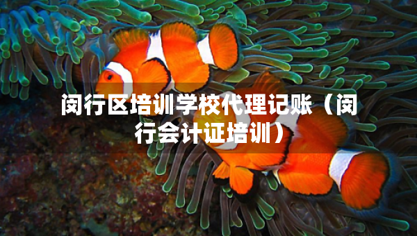 閔行區(qū)培訓(xùn)學(xué)校代理記賬（閔行會(huì)計(jì)證培訓(xùn)）