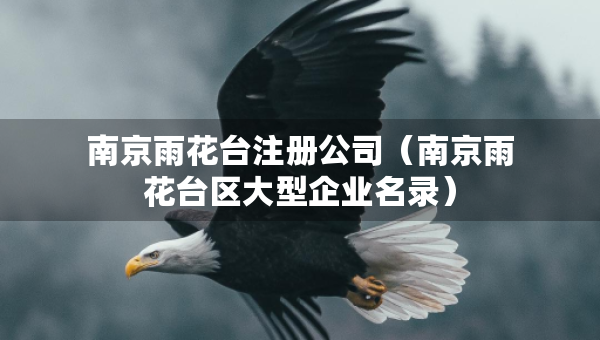 南京雨花臺(tái)注冊(cè)公司（南京雨花臺(tái)區(qū)大型企業(yè)名錄）