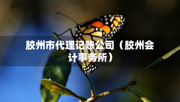 膠州市代理記賬公司（膠州會(huì)計(jì)事務(wù)所）