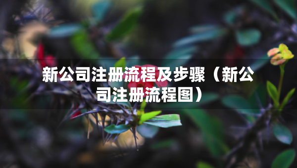 新公司注冊(cè)流程及步驟（新公司注冊(cè)流程圖）