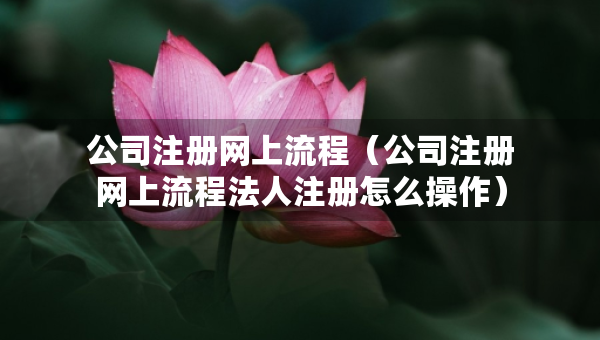 公司注冊(cè)網(wǎng)上流程（公司注冊(cè)網(wǎng)上流程法人注冊(cè)怎么操作）