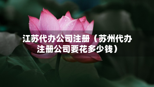 江蘇代辦公司注冊（蘇州代辦注冊公司要花多少錢）