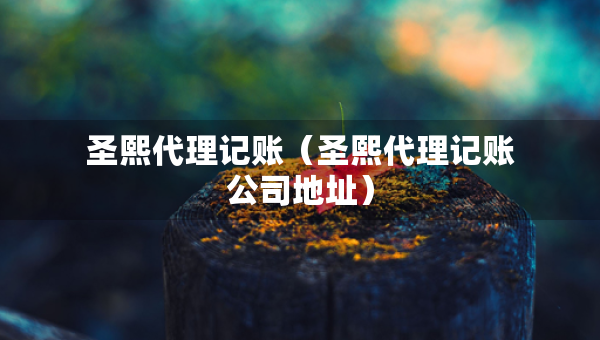 圣熙代理記賬（圣熙代理記賬公司地址）