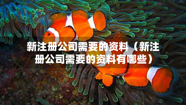 新注冊公司需要的資料（新注冊公司需要的資料有哪些）