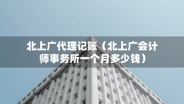 北上廣代理記賬（北上廣會(huì)計(jì)師事務(wù)所一個(gè)月多少錢(qián)）