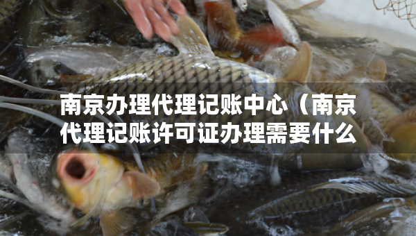 南京辦理代理記賬中心（南京代理記賬許可證辦理需要什么條件）