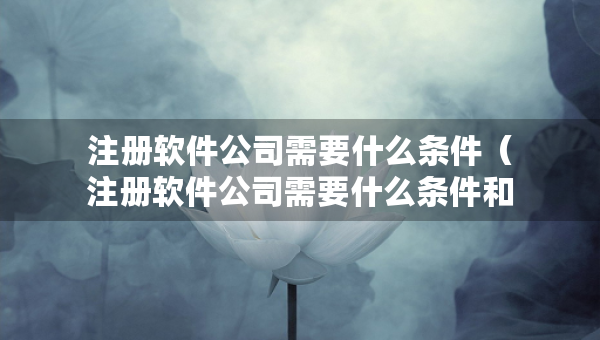 注冊軟件公司需要什么條件（注冊軟件公司需要什么條件和資質(zhì)）