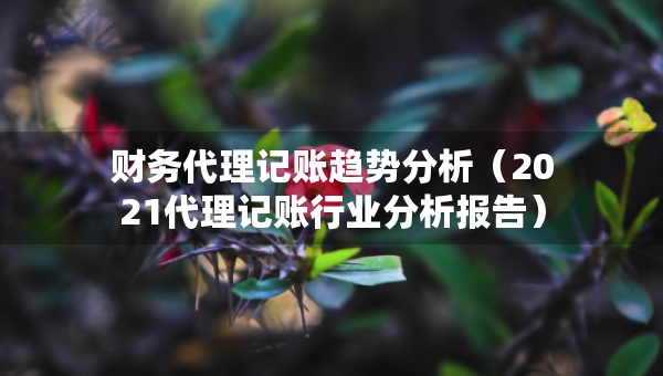財(cái)務(wù)代理記賬趨勢(shì)分析（2021代理記賬行業(yè)分析報(bào)告）