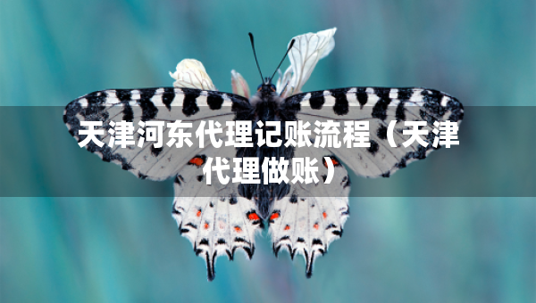 天津河?xùn)|代理記賬流程（天津代理做賬）