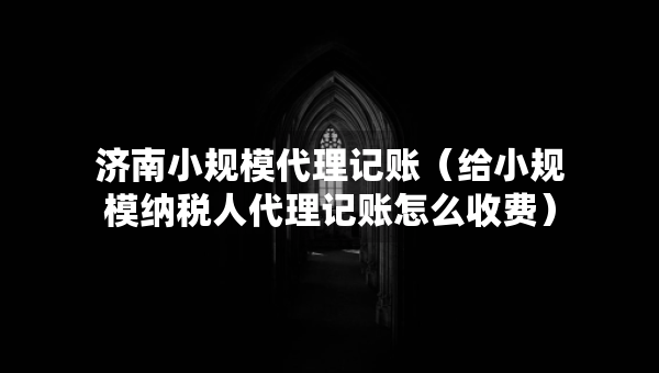 濟南小規(guī)模代理記賬（給小規(guī)模納稅人代理記賬怎么收費）