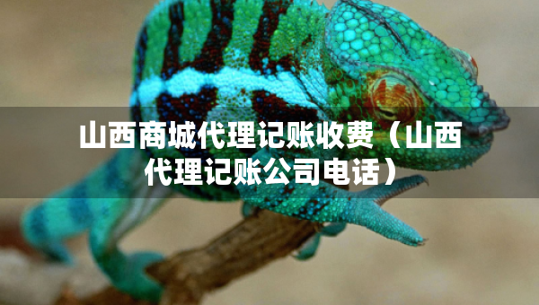 山西商城代理記賬收費（山西代理記賬公司電話）