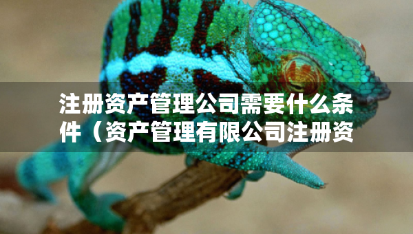 注冊資產(chǎn)管理公司需要什么條件（資產(chǎn)管理有限公司注冊資本要求）