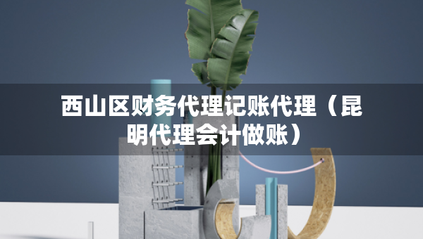 西山區(qū)財務(wù)代理記賬代理（昆明代理會計做賬）