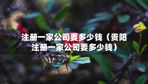 注冊一家公司要多少錢（貴陽注冊一家公司要多少錢）