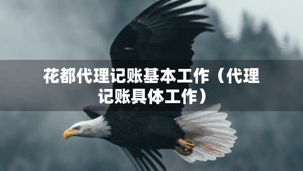 花都代理記賬基本工作（代理記賬具體工作）