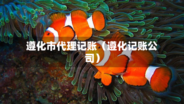 遵化市代理記賬（遵化記賬公司）