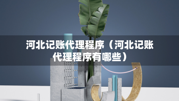 河北記賬代理程序（河北記賬代理程序有哪些）