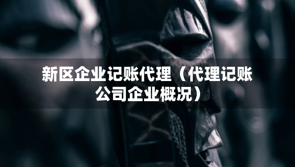 新區(qū)企業(yè)記賬代理（代理記賬公司企業(yè)概況）