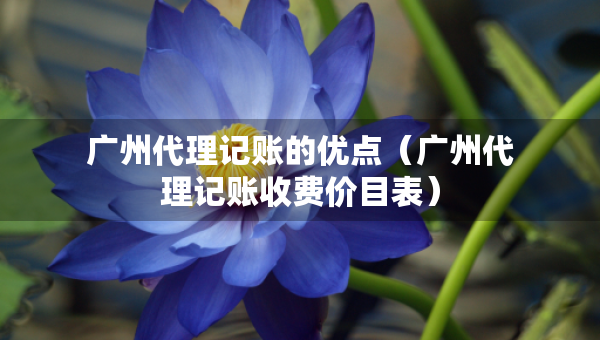 廣州代理記賬的優(yōu)點(diǎn)（廣州代理記賬收費(fèi)價(jià)目表）