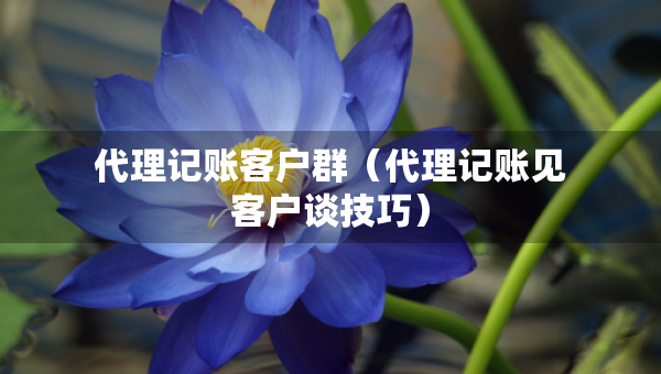 代理記賬客戶群（代理記賬見客戶談技巧）