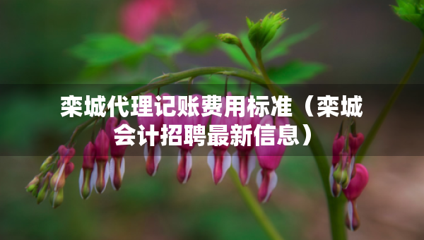欒城代理記賬費用標(biāo)準(zhǔn)（欒城會計招聘最新信息）