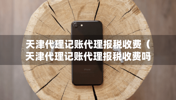 天津代理記賬代理報(bào)稅收費(fèi)（天津代理記賬代理報(bào)稅收費(fèi)嗎）