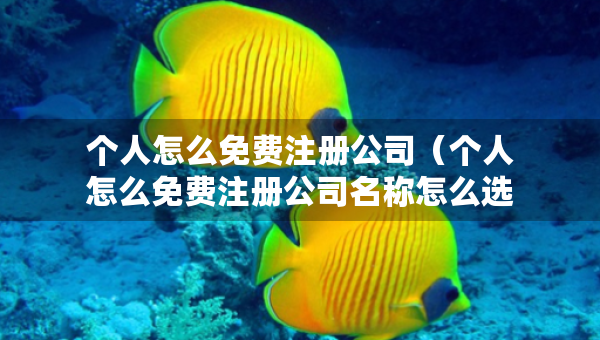 個(gè)人怎么免費(fèi)注冊(cè)公司（個(gè)人怎么免費(fèi)注冊(cè)公司名稱怎么選）