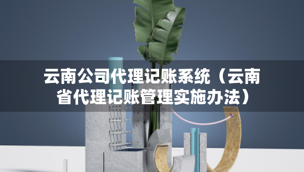 云南公司代理記賬系統(tǒng)（云南省代理記賬管理實(shí)施辦法）