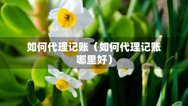 如何代理記賬（如何代理記賬哪里好）