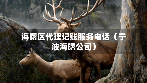海曙區(qū)代理記賬服務(wù)電話（寧波海曙公司）