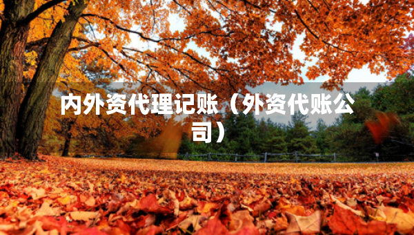 內(nèi)外資代理記賬（外資代賬公司）