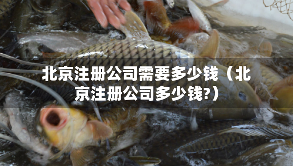 北京注冊公司需要多少錢（北京注冊公司多少錢?）