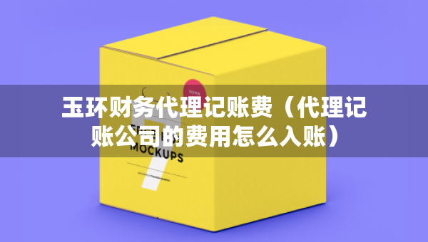 玉環(huán)財(cái)務(wù)代理記賬費(fèi)（代理記賬公司的費(fèi)用怎么入賬）