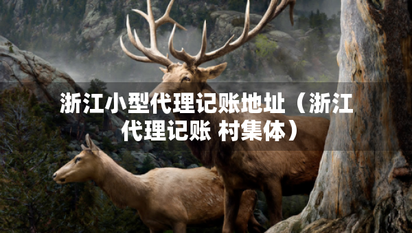 浙江小型代理記賬地址（浙江 代理記賬 村集體）