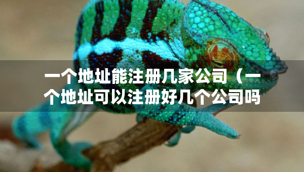 一個地址能注冊幾家公司（一個地址可以注冊好幾個公司嗎）