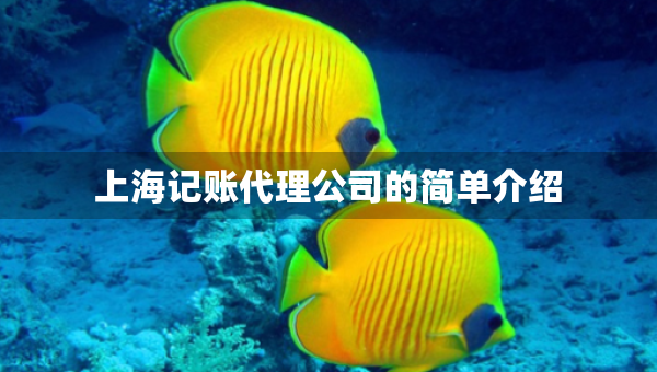 上海記賬代理公司的簡單介紹