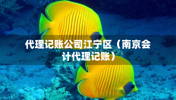 代理記賬公司江寧區(qū)（南京會(huì)計(jì)代理記賬）