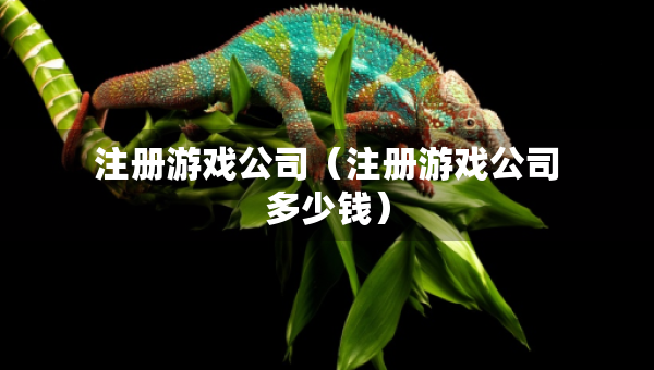 注冊游戲公司（注冊游戲公司多少錢）