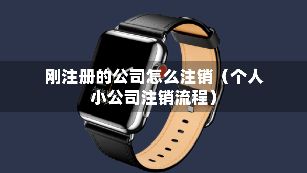 剛注冊的公司怎么注銷（個人小公司注銷流程）