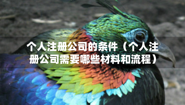 個(gè)人注冊公司的條件（個(gè)人注冊公司需要哪些材料和流程）