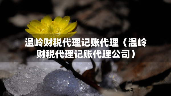溫嶺財稅代理記賬代理（溫嶺財稅代理記賬代理公司）