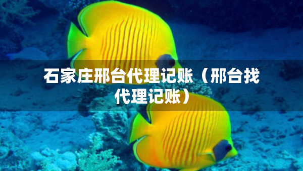 石家莊邢臺代理記賬（邢臺找代理記賬）