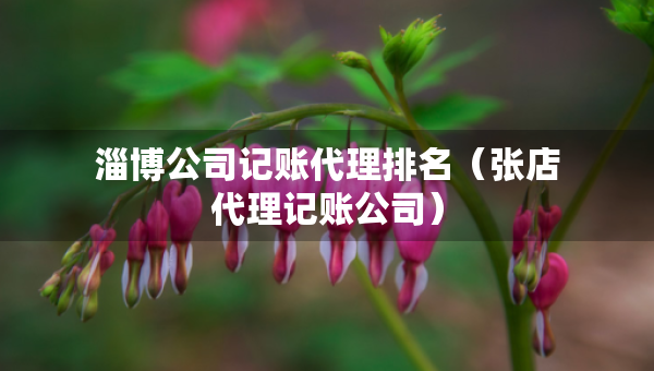 淄博公司記賬代理排名（張店代理記賬公司）