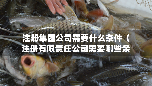 注冊集團公司需要什么條件（注冊有限責(zé)任公司需要哪些條件）