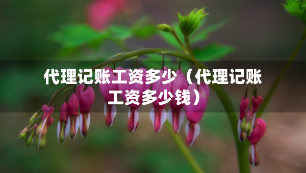 代理記賬工資多少（代理記賬工資多少錢）