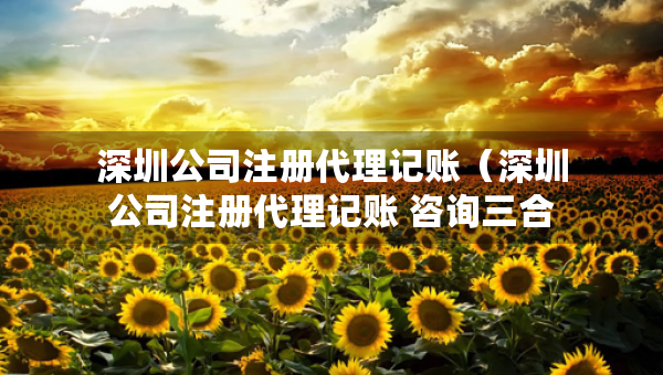 深圳公司注冊代理記賬（深圳公司注冊代理記賬 咨詢三合一企服）