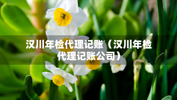漢川年檢代理記賬（漢川年檢代理記賬公司）