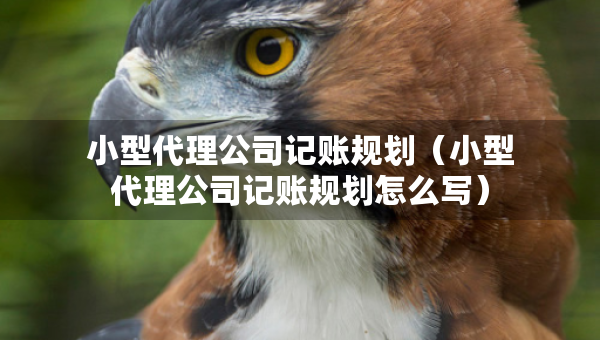 小型代理公司記賬規(guī)劃（小型代理公司記賬規(guī)劃怎么寫）